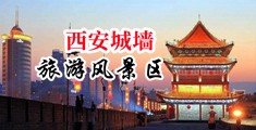 伊人大黑吊日逼中国陕西-西安城墙旅游风景区